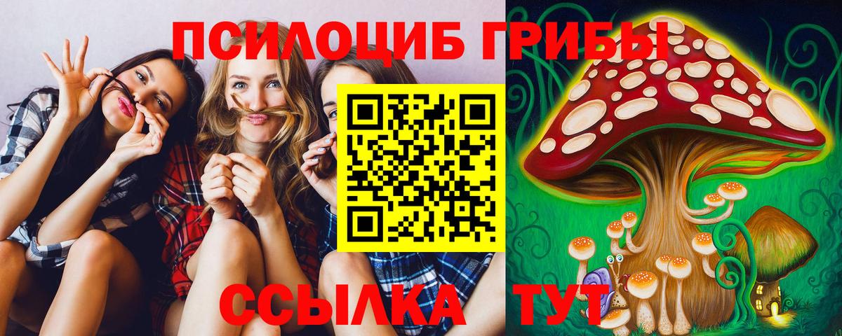 Кемерово  Галлюциногенные грибы Psilocybe  Вход с VPN 